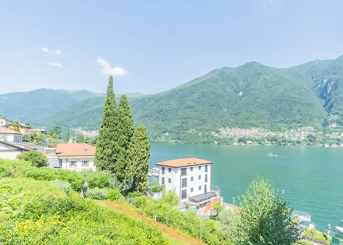 Apartment Oc By Rent